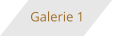 Galerie 1