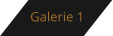 Galerie 1